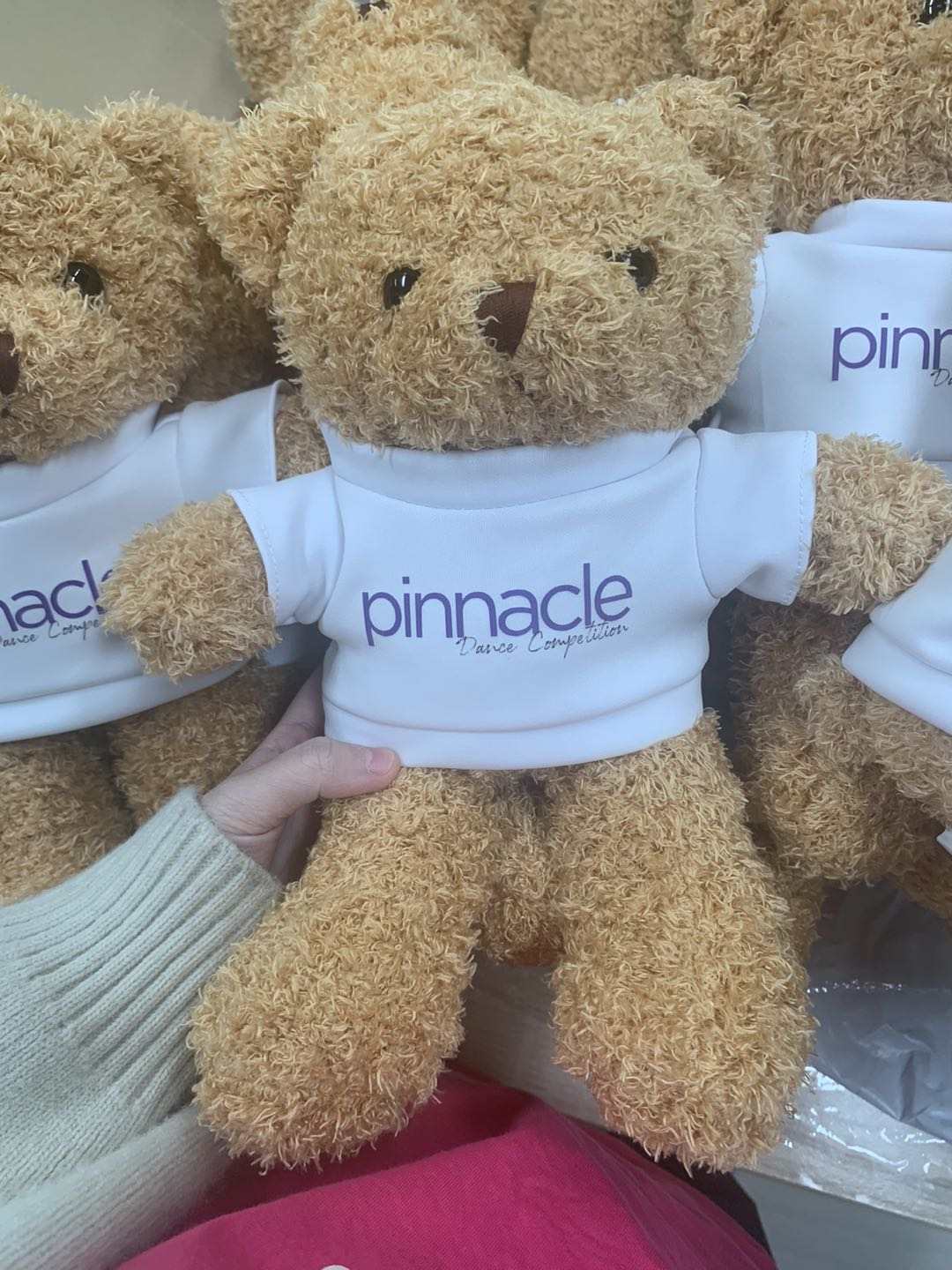 Pinnacle Teddy Bear Plushie